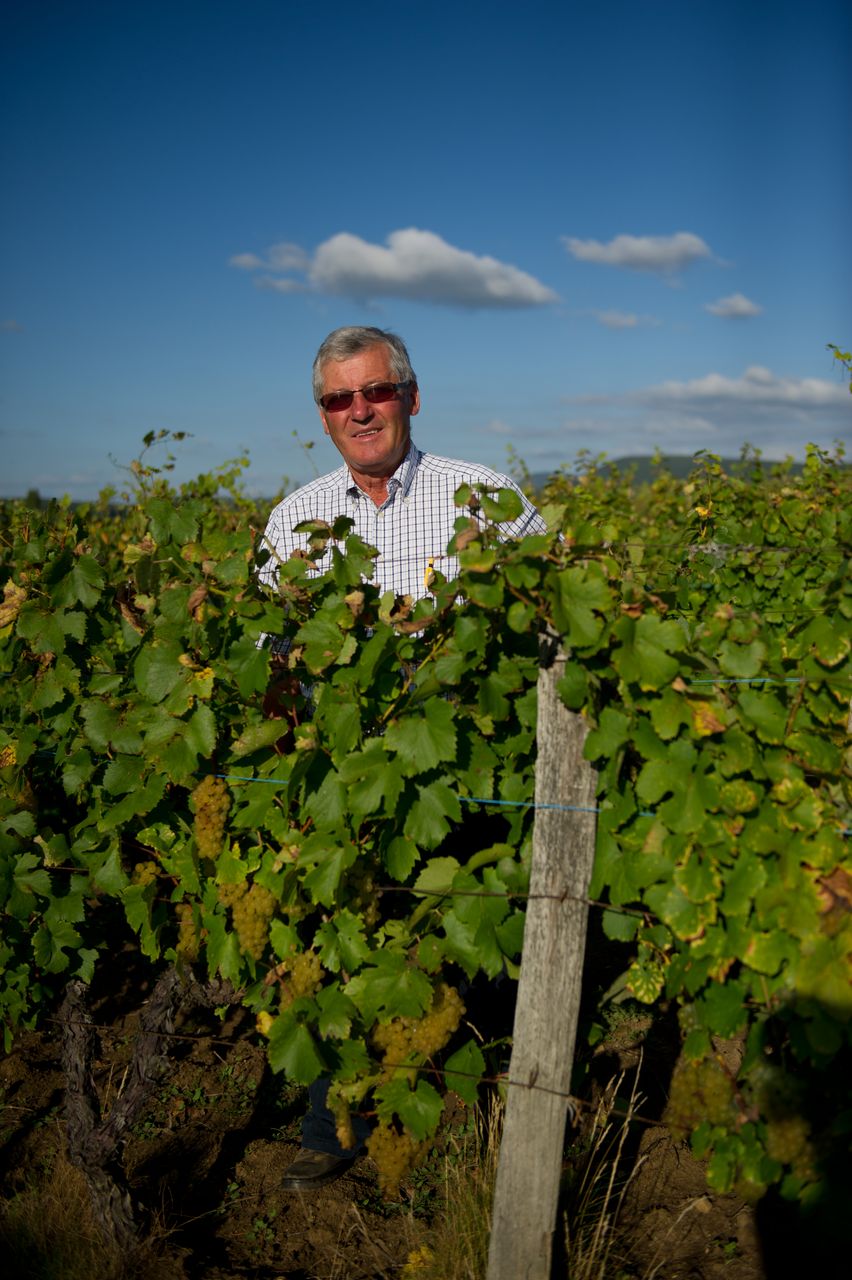 Vins Vigneron Pierre Rolet portraitPR-14